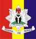 Federal Fire Service (FFS) logo